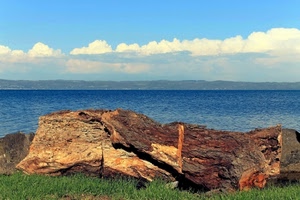 nuvole, mare, cielo, tronco, erba, legno, prato, azzurro, acqua, lago, tagliato, verde, roccia