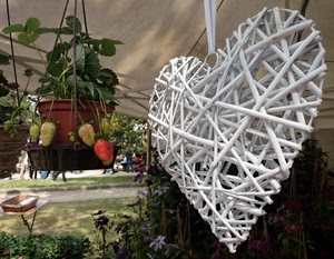 cuore, fragole, bianco, piante, fiori, rosso, foglie, appeso, pianta, verde, vaso, tenda, vetrina, cestino, legno, vasi, ombrellone