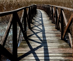 legno, ponte, ombre, ombra, fiume, passerella, acqua, ringhiere, geometrie, assi, piante