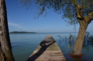 acqua, lago, alberi, cielo, pontile, azzurro, piante, nuvole, legno, molo, mare, ombra, rami, isola, verde, tronchi, foglie, canne, ombre