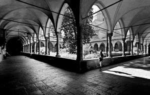 chiostro, archi, bianconero, colonne, ombra, portico, ombre, albero, prospettiva, persona, piante, nero, giardino, arco, persone