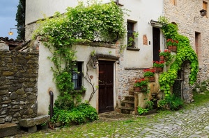 fiori, scala, porta, piante, scale, casa, vicolo, rampicante, rampicanti, vasi